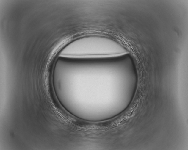 X0000115740197200911121109