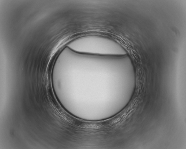 X0000115740198200911121109