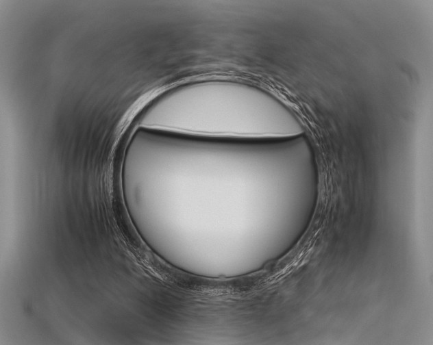 X0000115740200200911121109