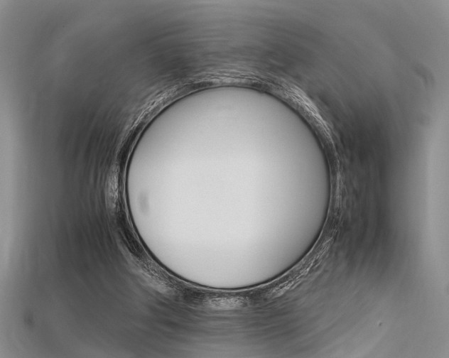 X0000115740202200911121109