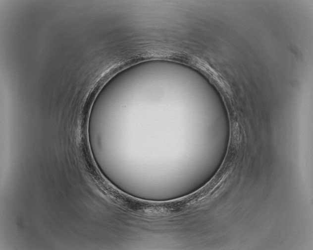 X0000115740203200911121109