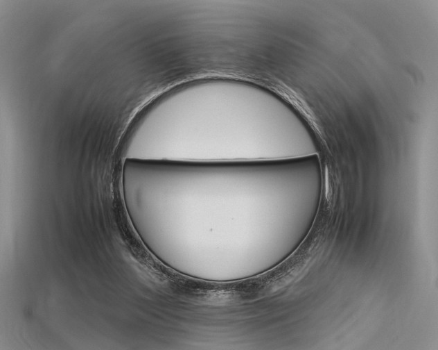 X0000115740204200911121109
