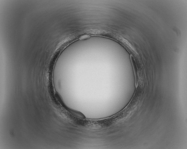 X0000115740207200911121109