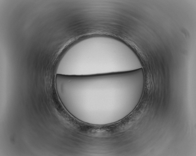 X0000115740208200911121109