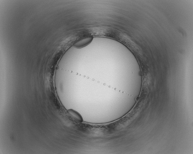 X0000115740209200911121109