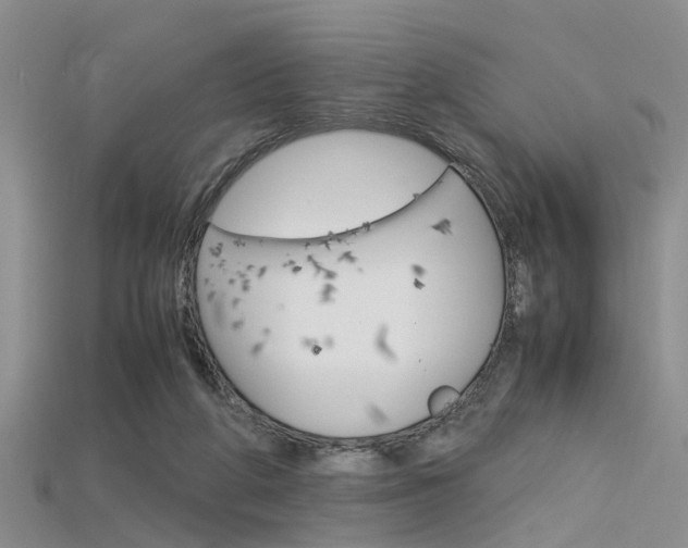 X0000115740210200911121109
