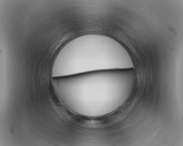 X0000115740212200911121109