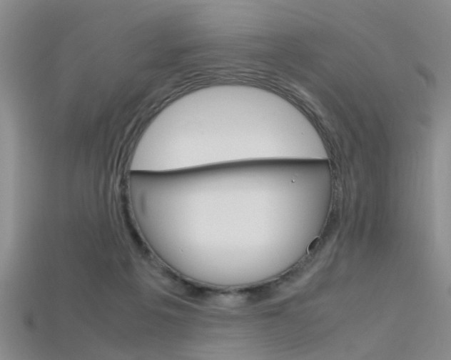 X0000115740217200911121109