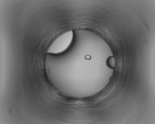 X0000115740224200911121109