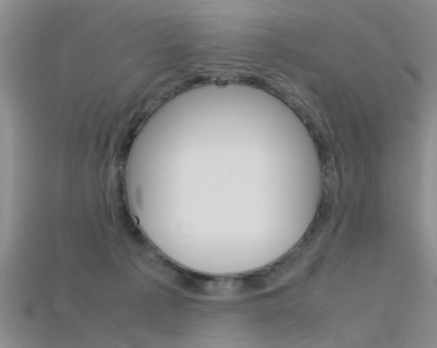 X0000115740225200911121109