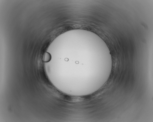 X0000115740226200911121109