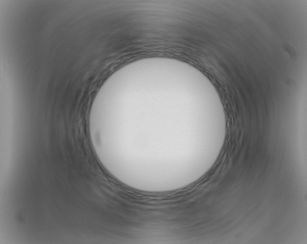 X0000115740229200911121109