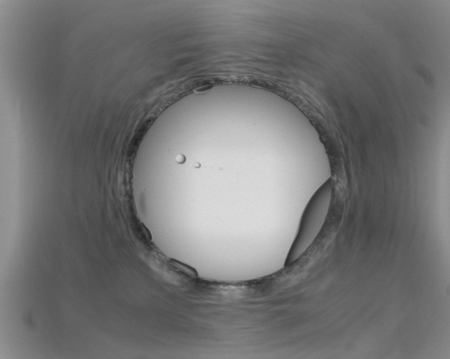 X0000115740233200911121109