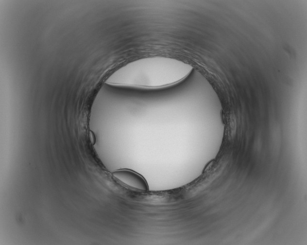 X0000115740236200911121108