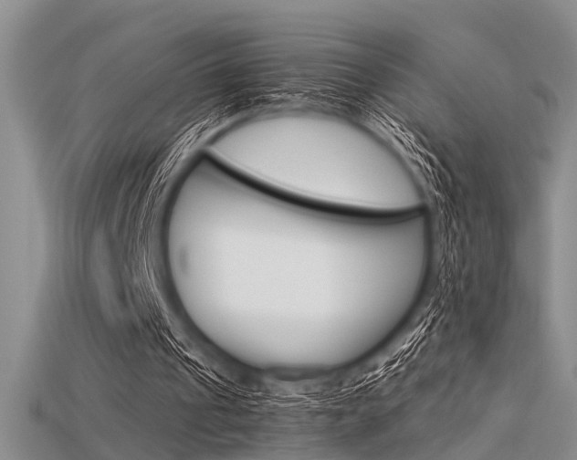 X0000115740241200911121108