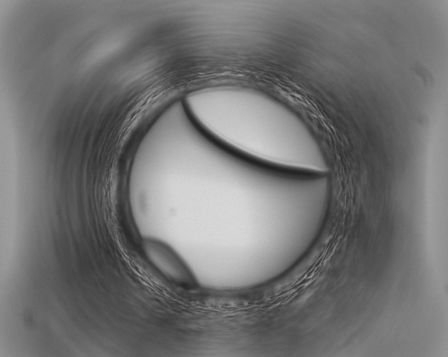 X0000115740242200911121108