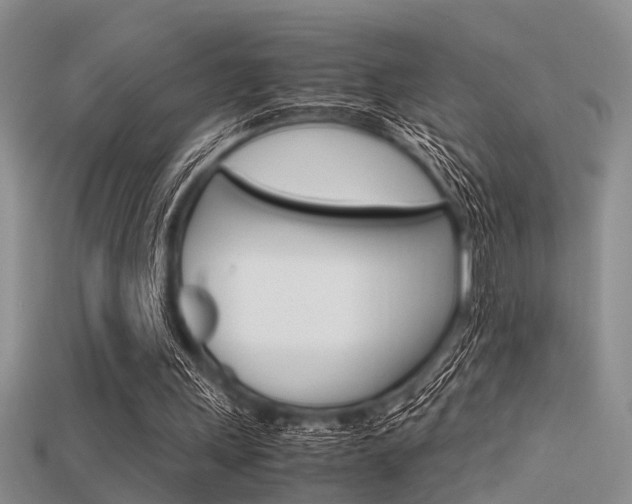 X0000115740243200911121108