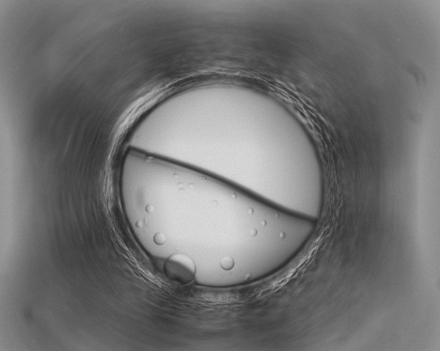 X0000115740245200911121108