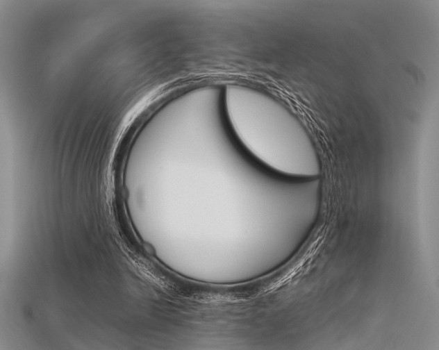 X0000115740246200911121108