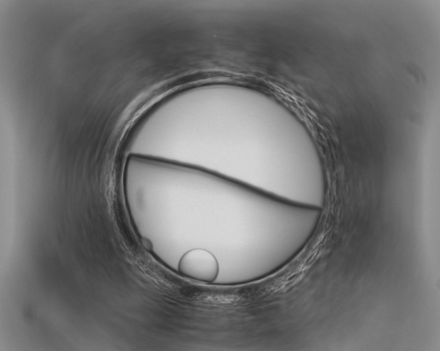 X0000115740247200911121108