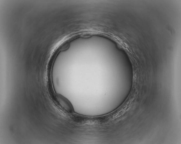 X0000115740248200911121108
