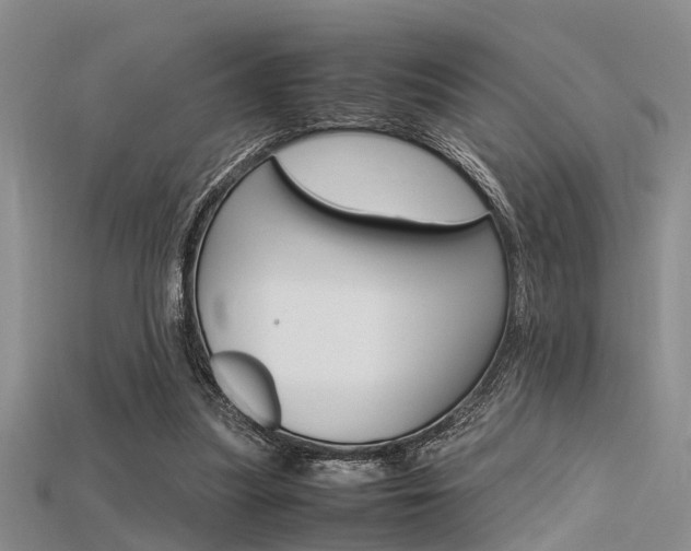 X0000115740251200911121108