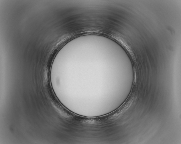 X0000115740253200911121108