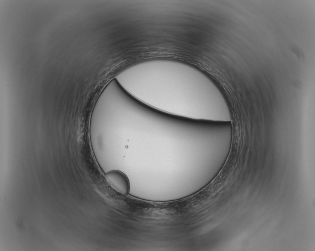 X0000115740255200911121108