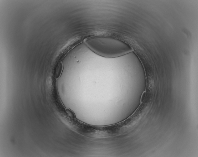 X0000115740256200911121108