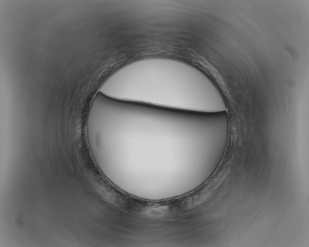 X0000115740257200911121108