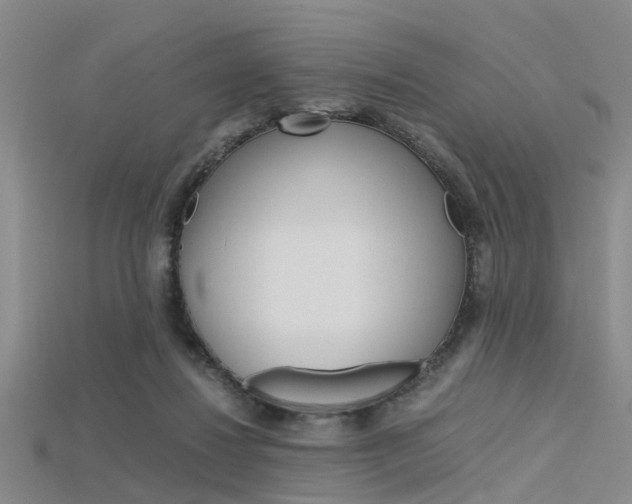 X0000115740260200911121108