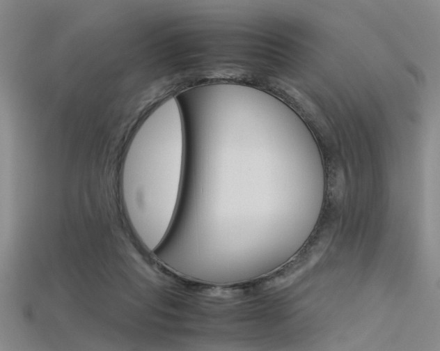 X0000115740261200911121108