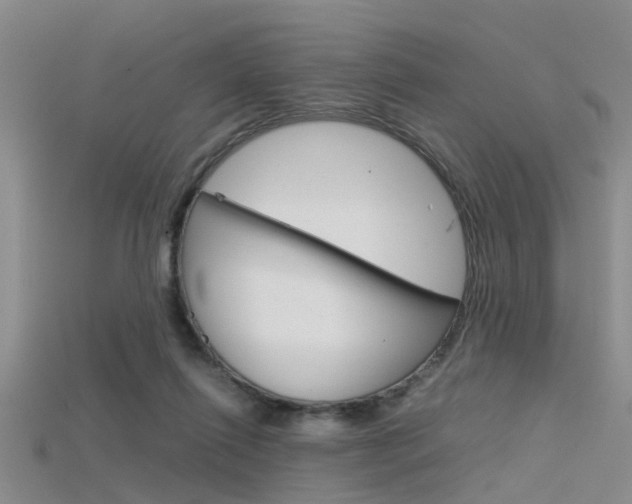 X0000115740262200911121108