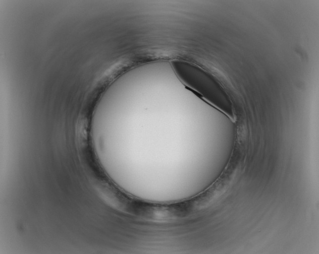 X0000115740264200911121108