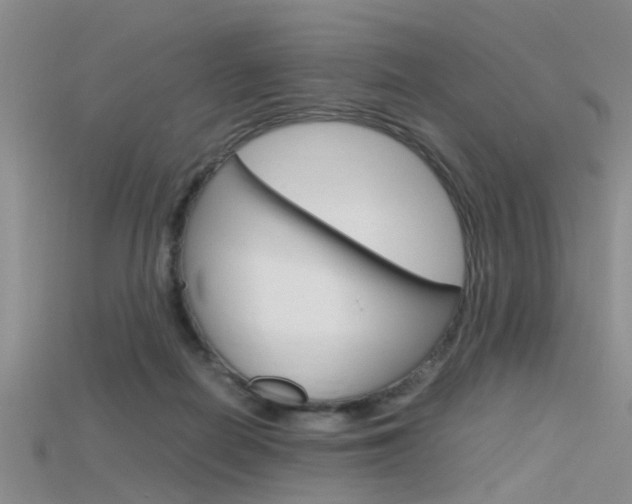 X0000115740266200911121108