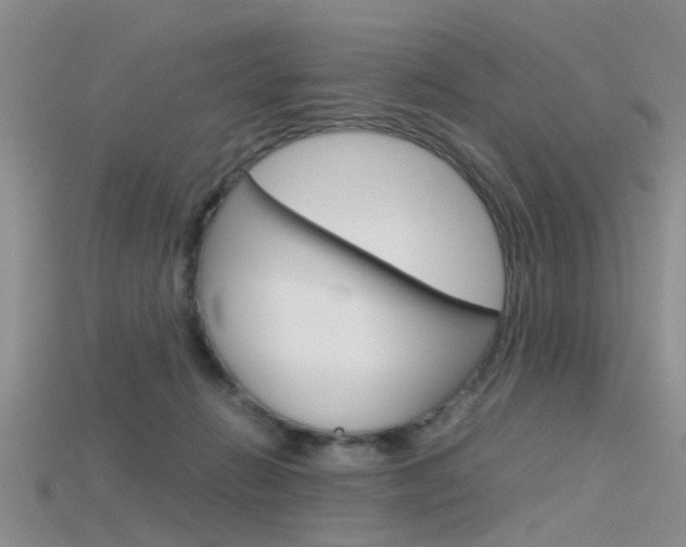 X0000115740270200911121108