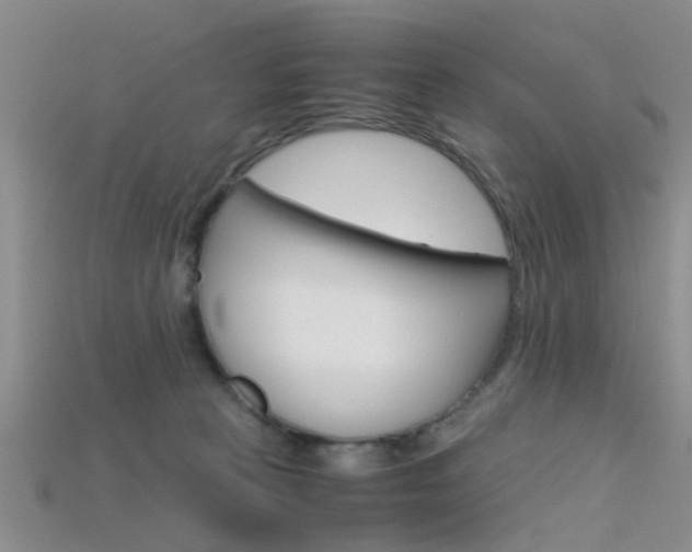 X0000115740273200911121108