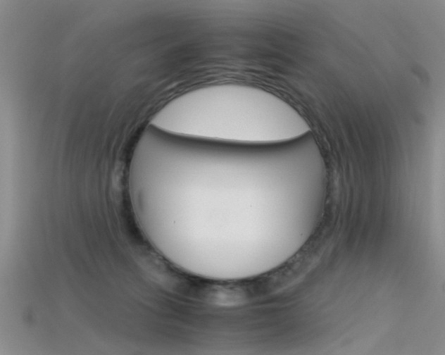 X0000115740275200911121108