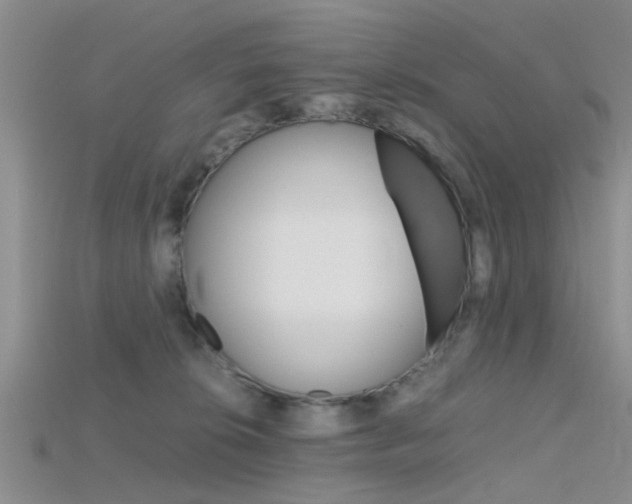 X0000115740276200911121108