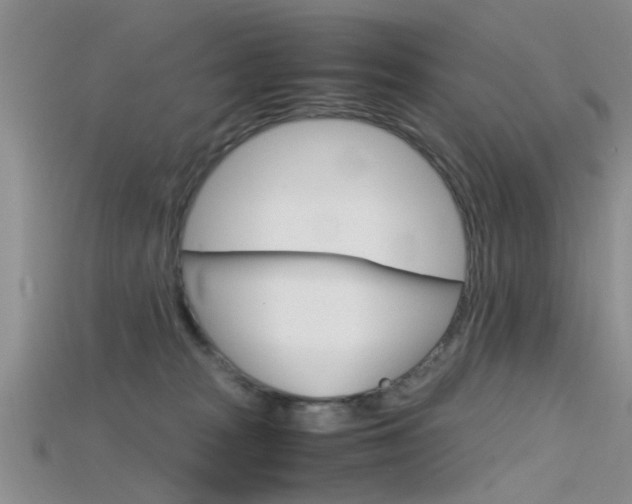 X0000115740277200911121108