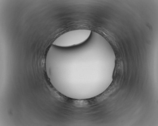 X0000115740281200911121108