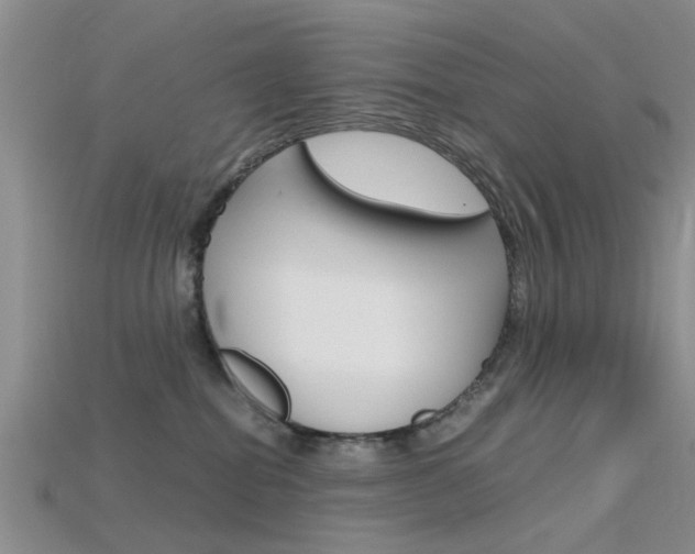 X0000115740282200911121108