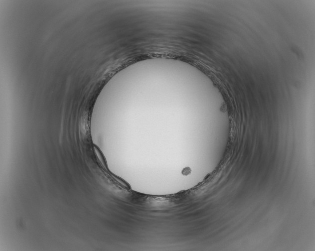 X0000115740287200911121108