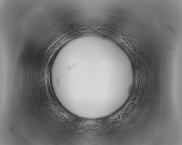 X0000115740290200911121108