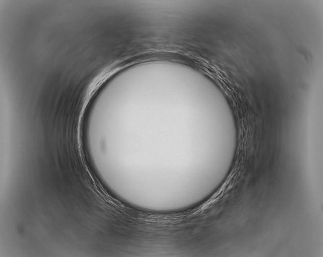 X0000115740294200911121108