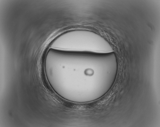 X0000115740295200911121108