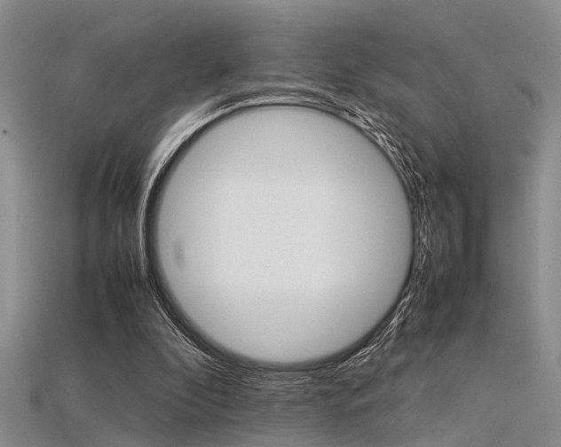 X0000115740296200911121108