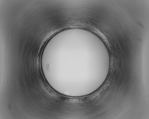 X0000115740298200911121108