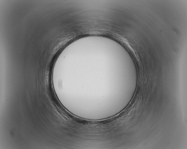 X0000115740299200911121108