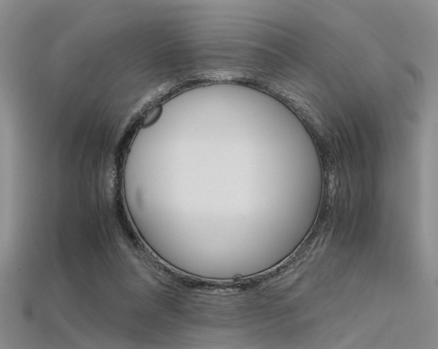 X0000115740304200911121108